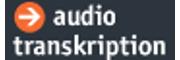 audiotranskription.de