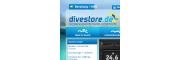 divestore.de