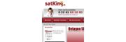 satking.de